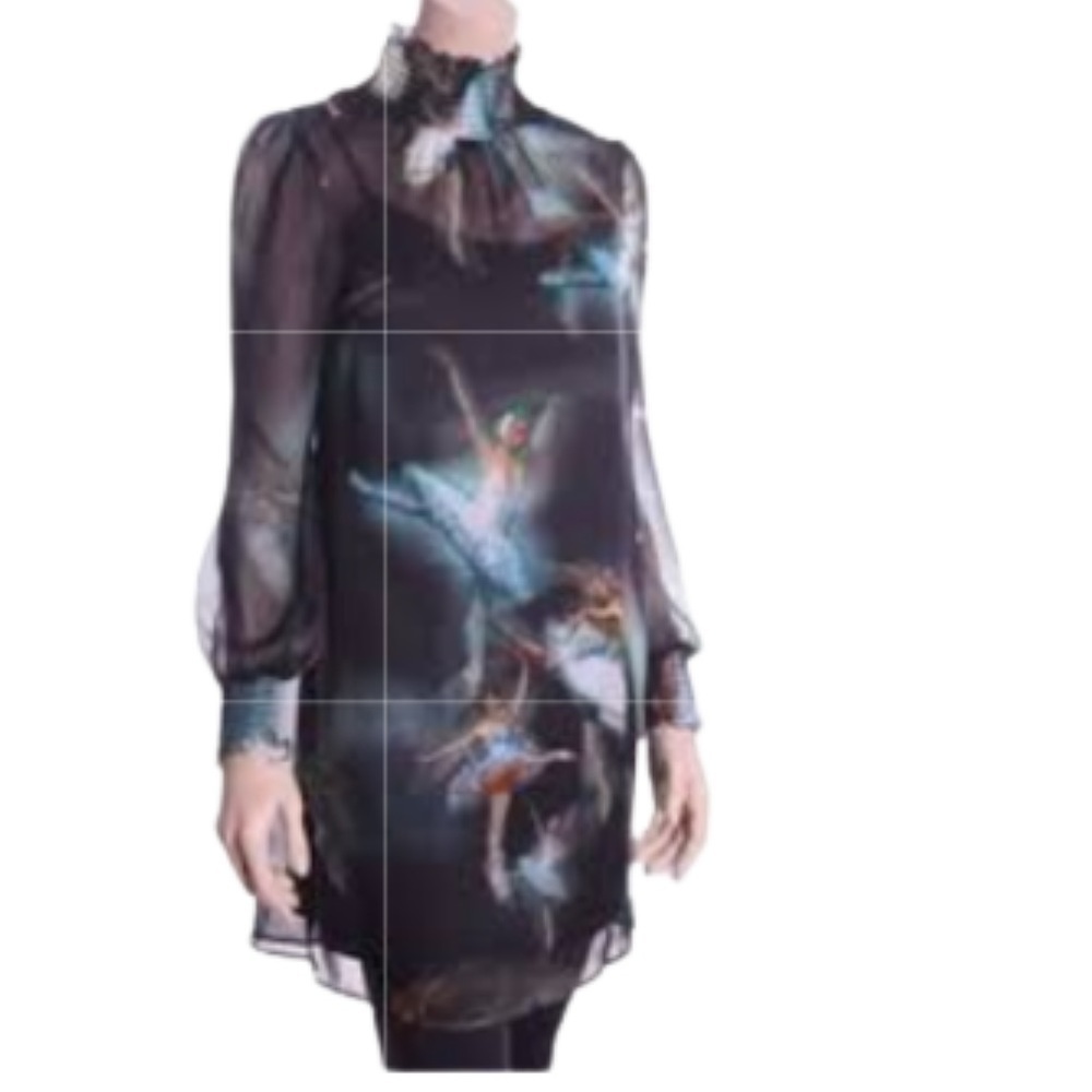 Ted Baker Ballerina 'Orchha' Chiffon Dress Size 0 Balletcore Fairycore
